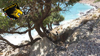 Karuben in Kreta