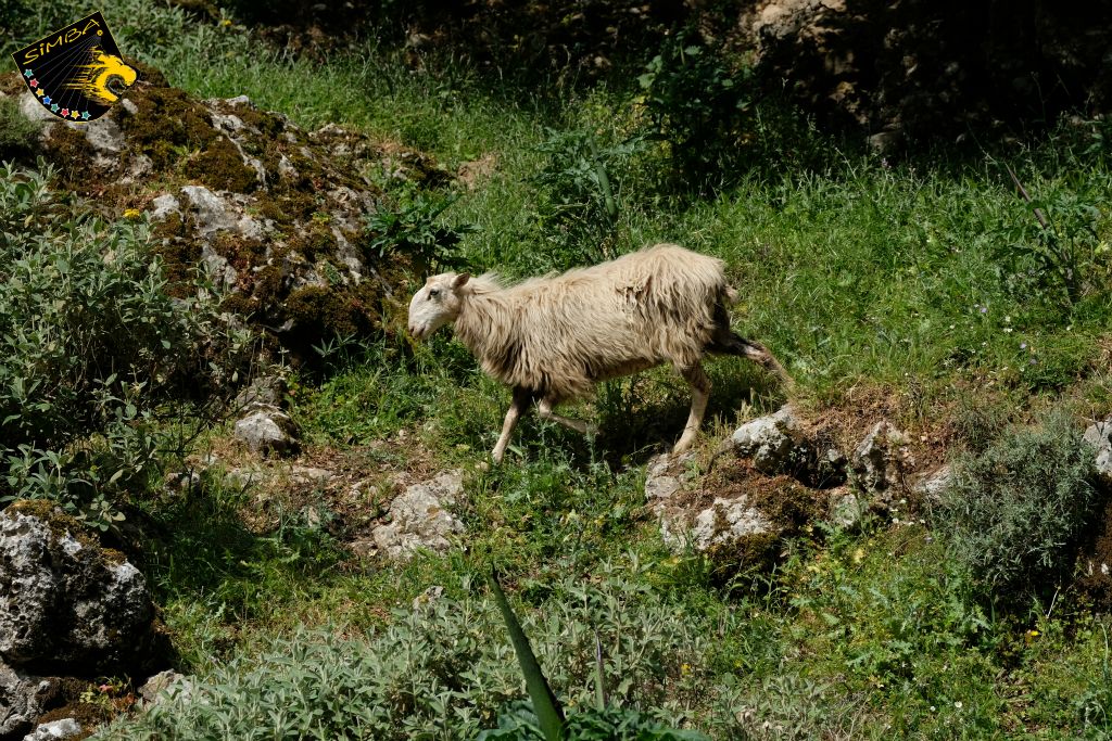 Im Frühjahr voll üppiger Vegetation