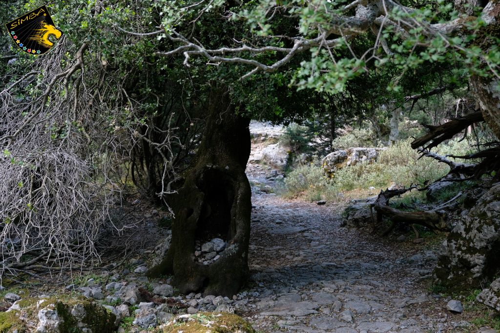 Unterwegs in der Imbros Schlucht