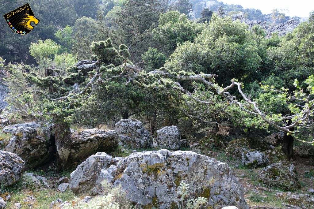 Unterwegs in der Imbros Schlucht