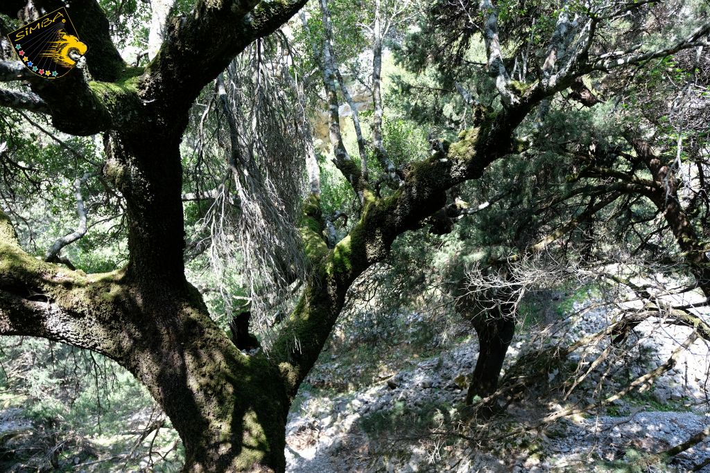 Unterwegs in der Imbros Schlucht