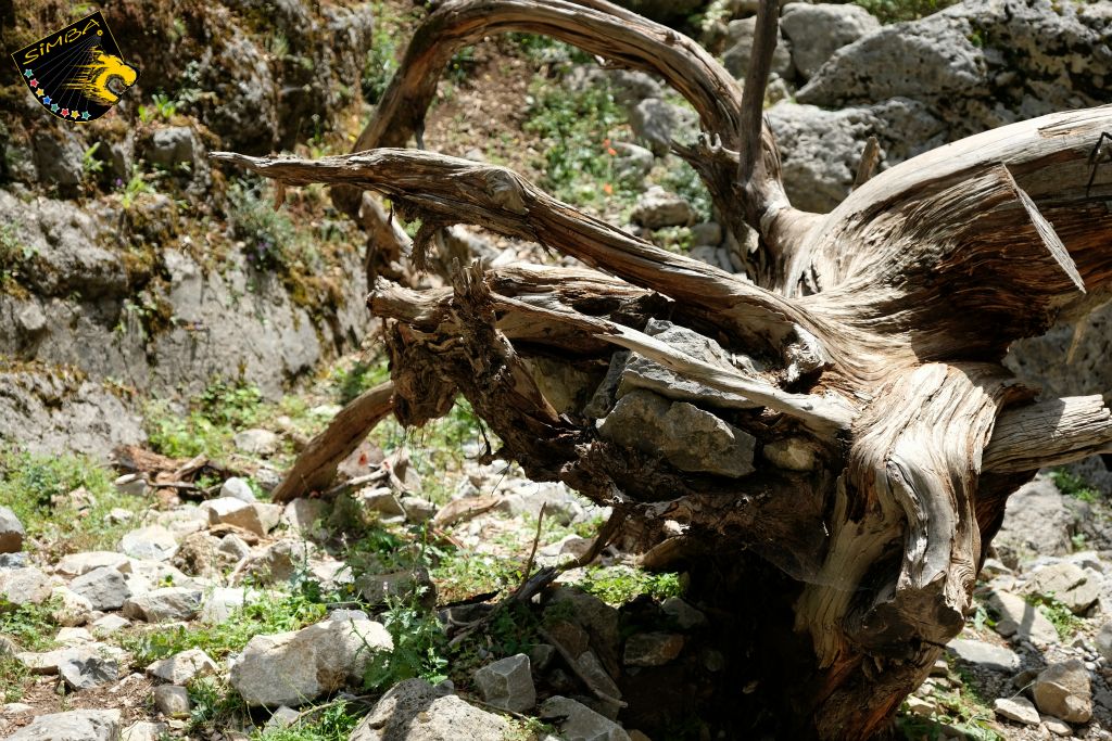 Unterwegs in der Imbros Schlucht