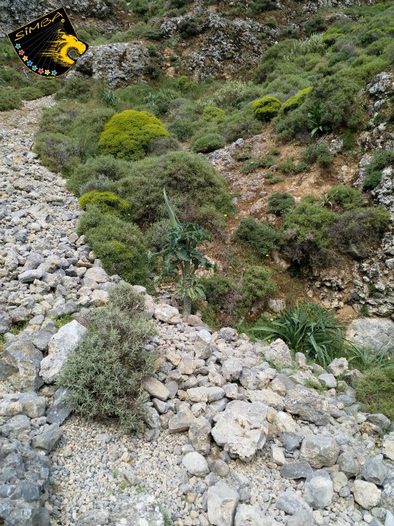 Unterwegs in der Imbros Schlucht